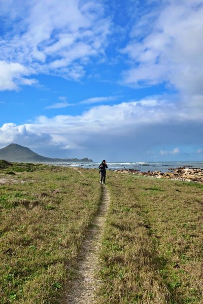 Cape Trekking-桌山国家公园必去景点