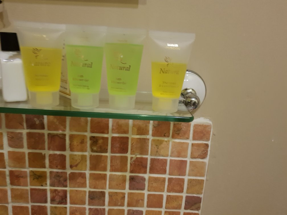 Plas Dolmelynllyn Hall Hotel主图