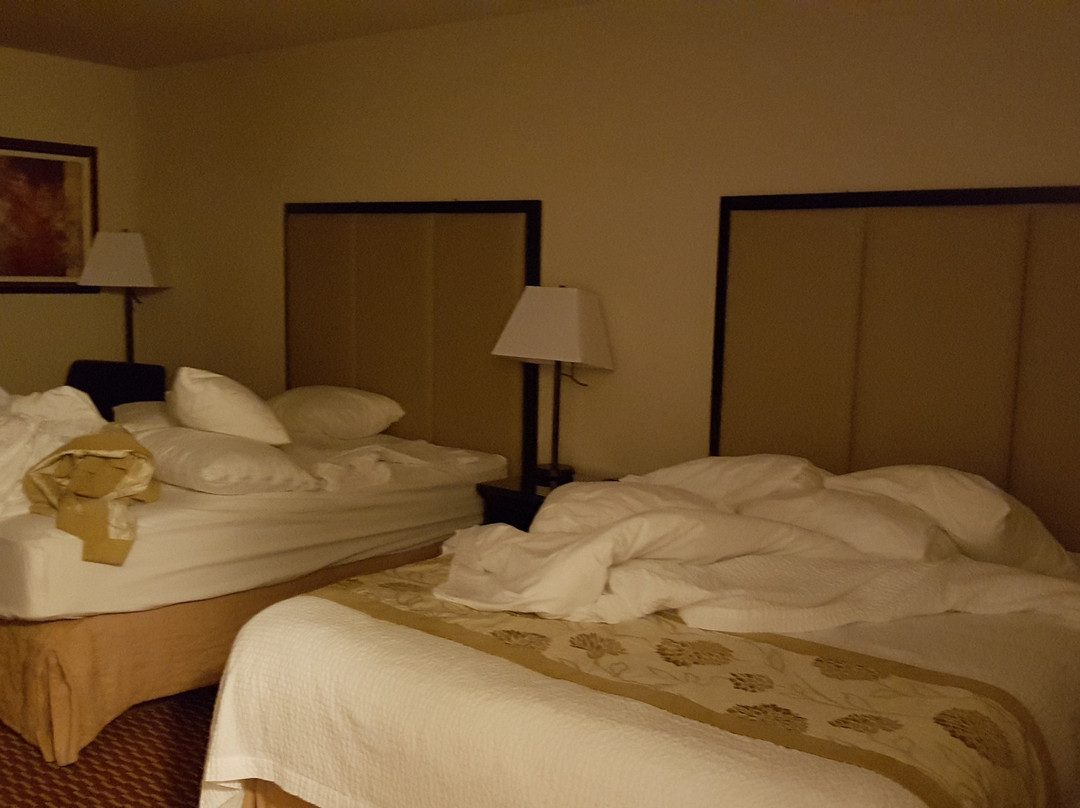 Best Western Of Olds主图