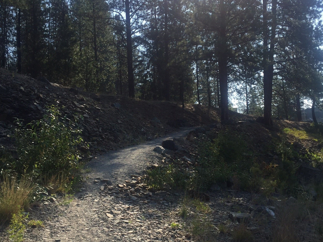 Thompson Falls Community Trails景点图片