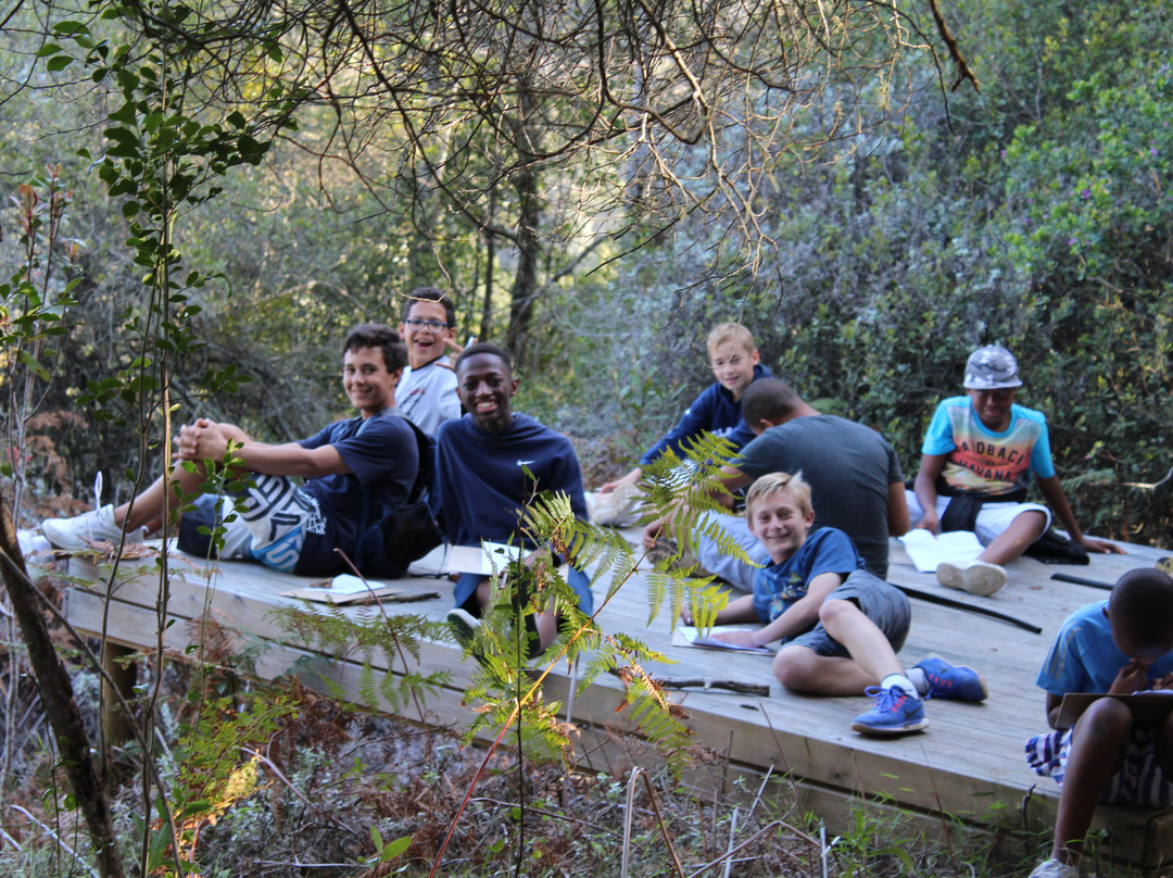 Ingwe Forest Adventures-普利登堡湾必去景点