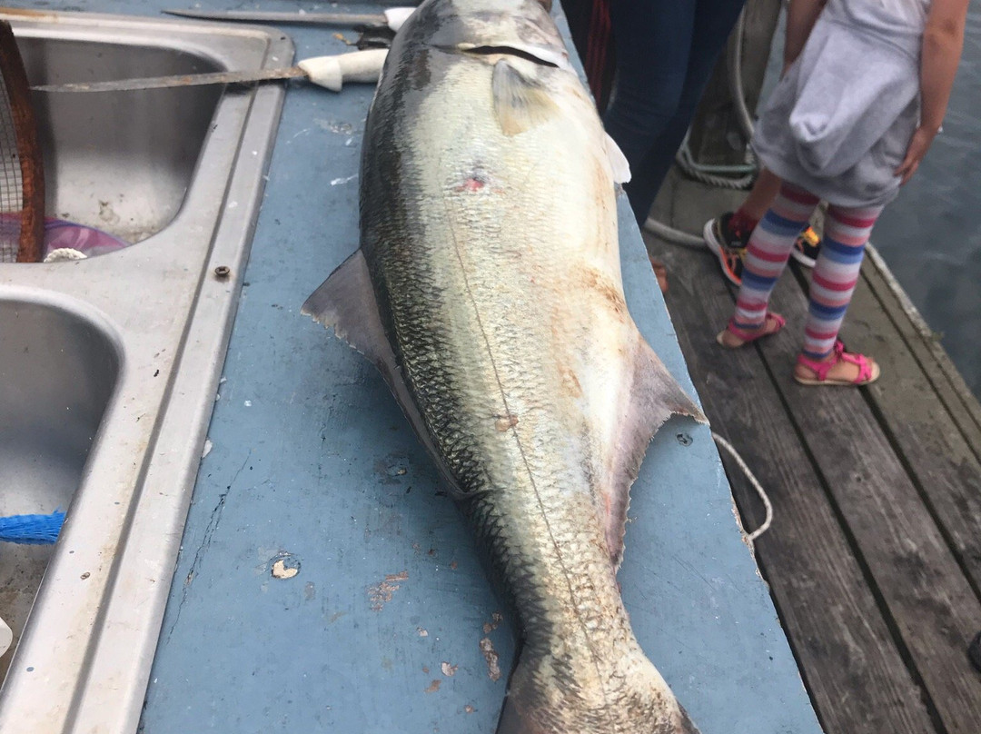 Cee Jay Fishing-普罗温斯敦必去景点