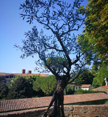 Cicli Rai Bike Rental-卢卡必去景点