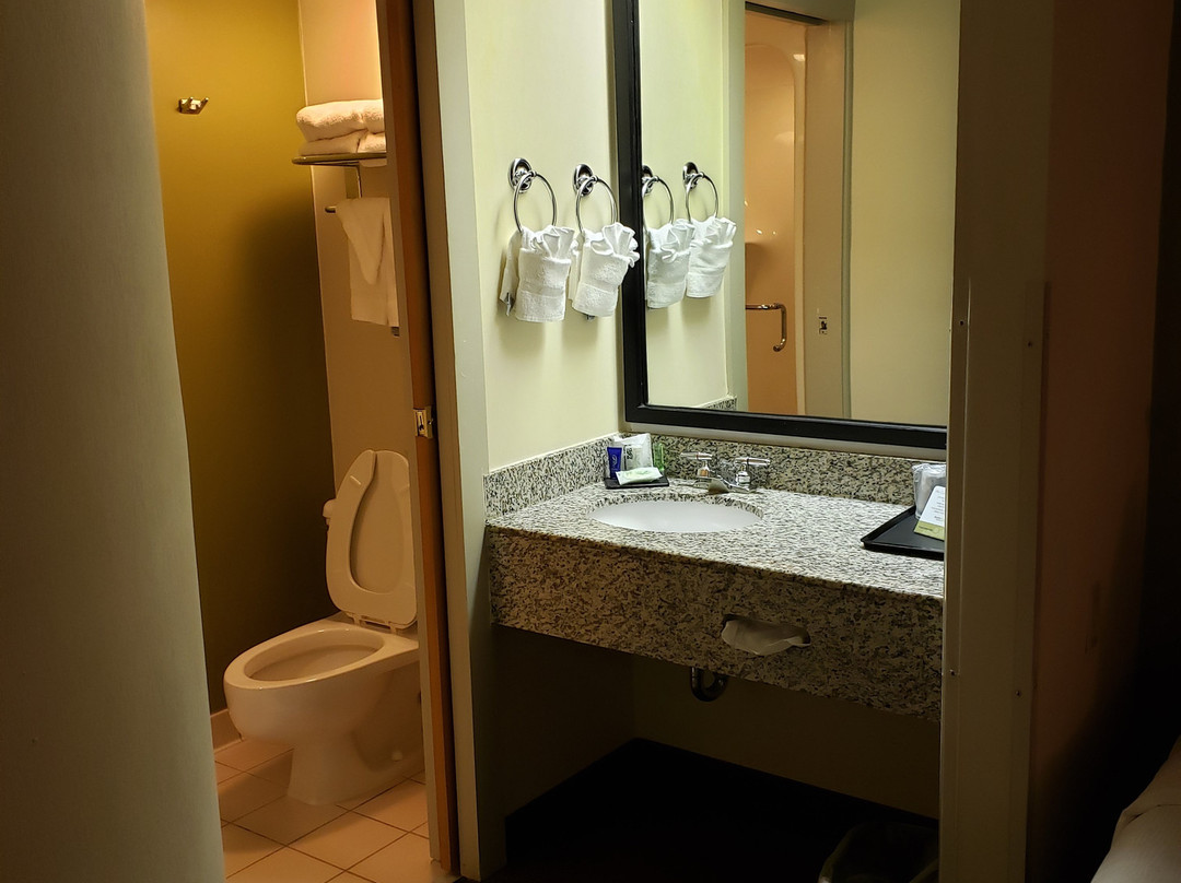 斯利普酒店主图