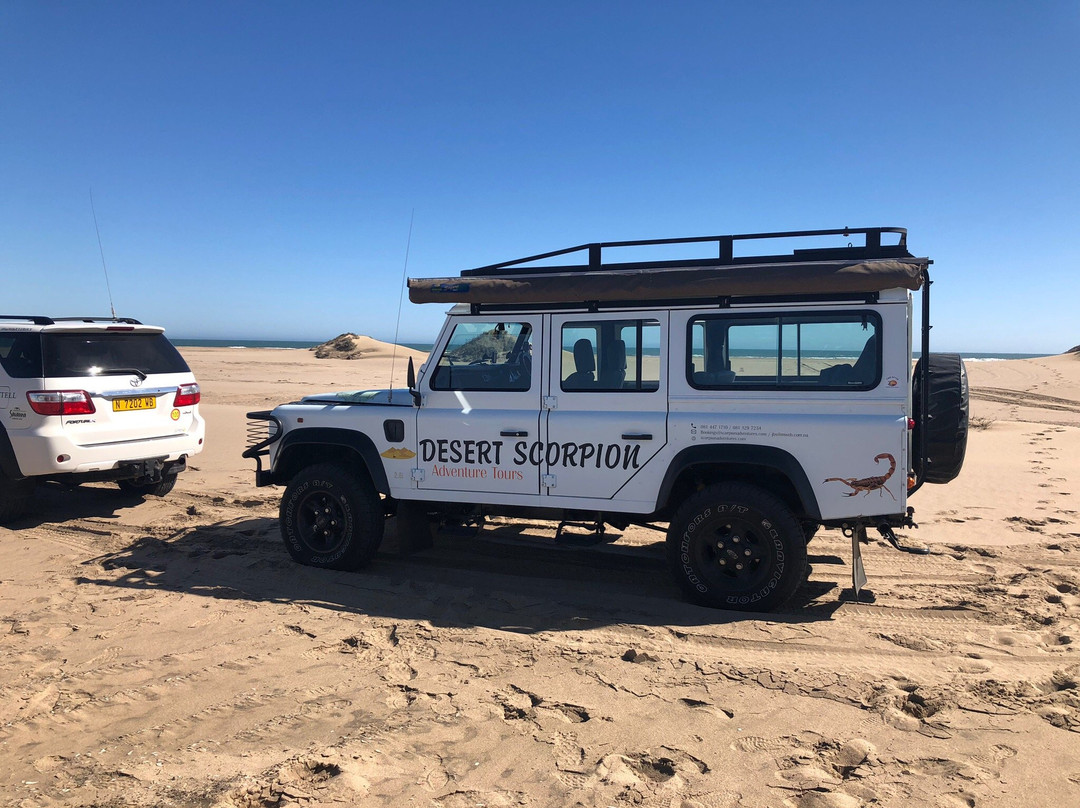 Desert Scorpion Adventure Tours-华维斯湾必去景点