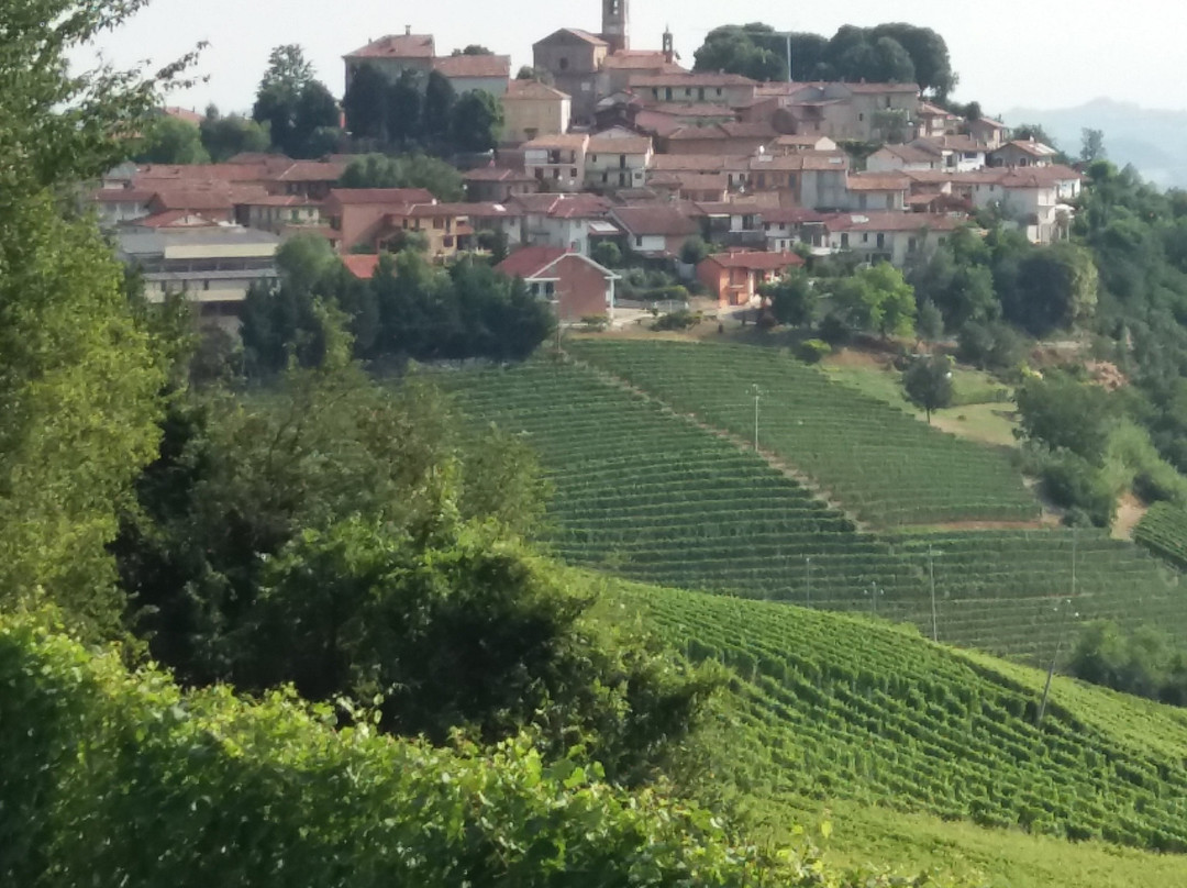 Strada del Barolo e Grandi Vini di Langa-Castiglione Falletto必去景点