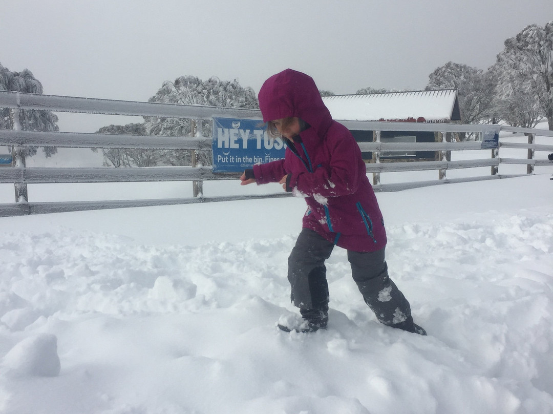 Selwyn Snow Resort-Cooma必去景点