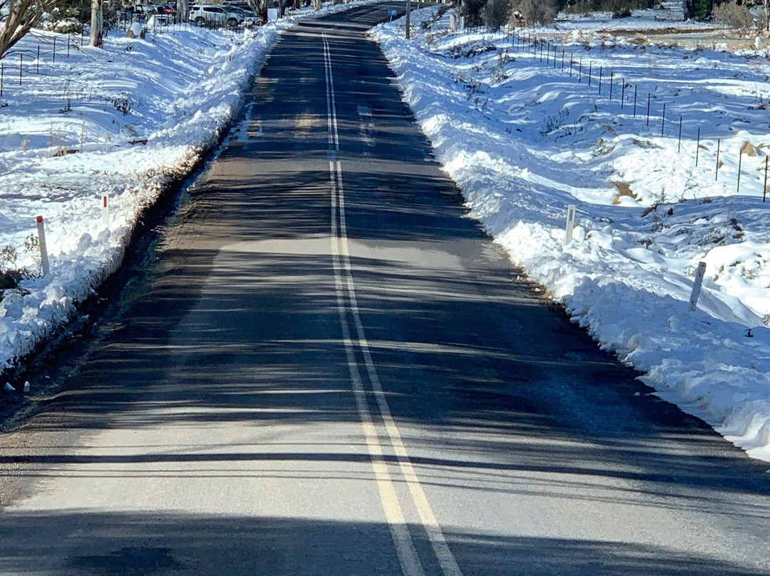 Corin Forest-Paddys River必去景点