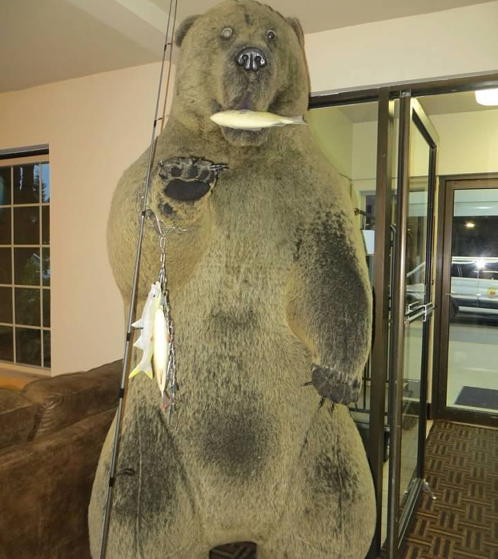 Super 8 By Wyndham Juneau主图