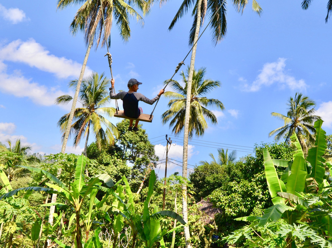 巴厘岛生态度假村主图