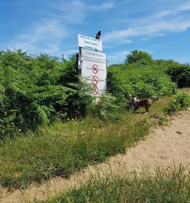 Kenfig National Nature Reserve景点图片