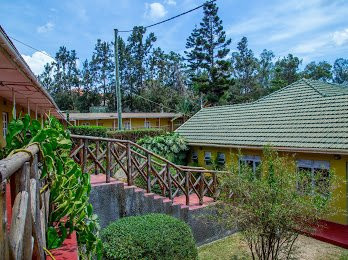 Little Woods Inn主图