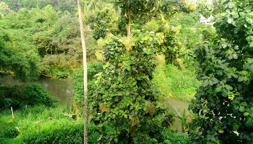 Grindlays Regency (Pvt)ltd主图