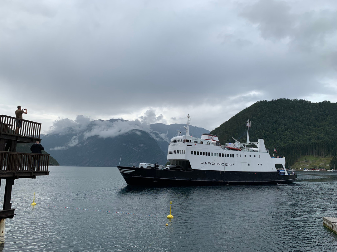 Car ferry cruise Kaupanger - Gudvangen景点图片