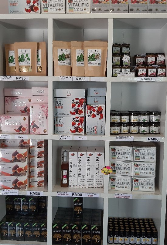 Pulau Santap-武吉丁宜高原必去景点