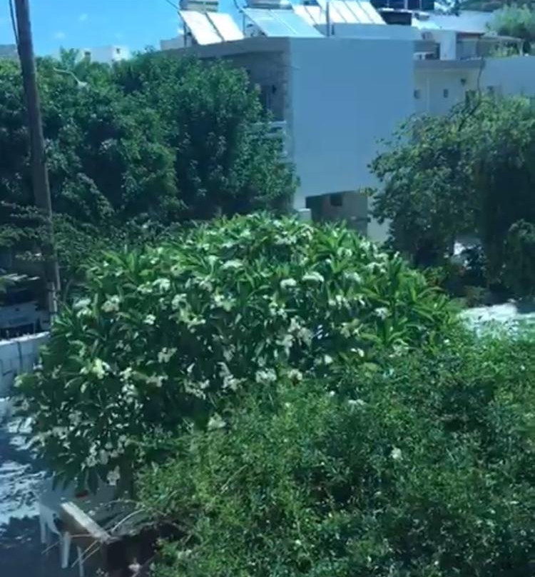 伊娃滨海酒店主图