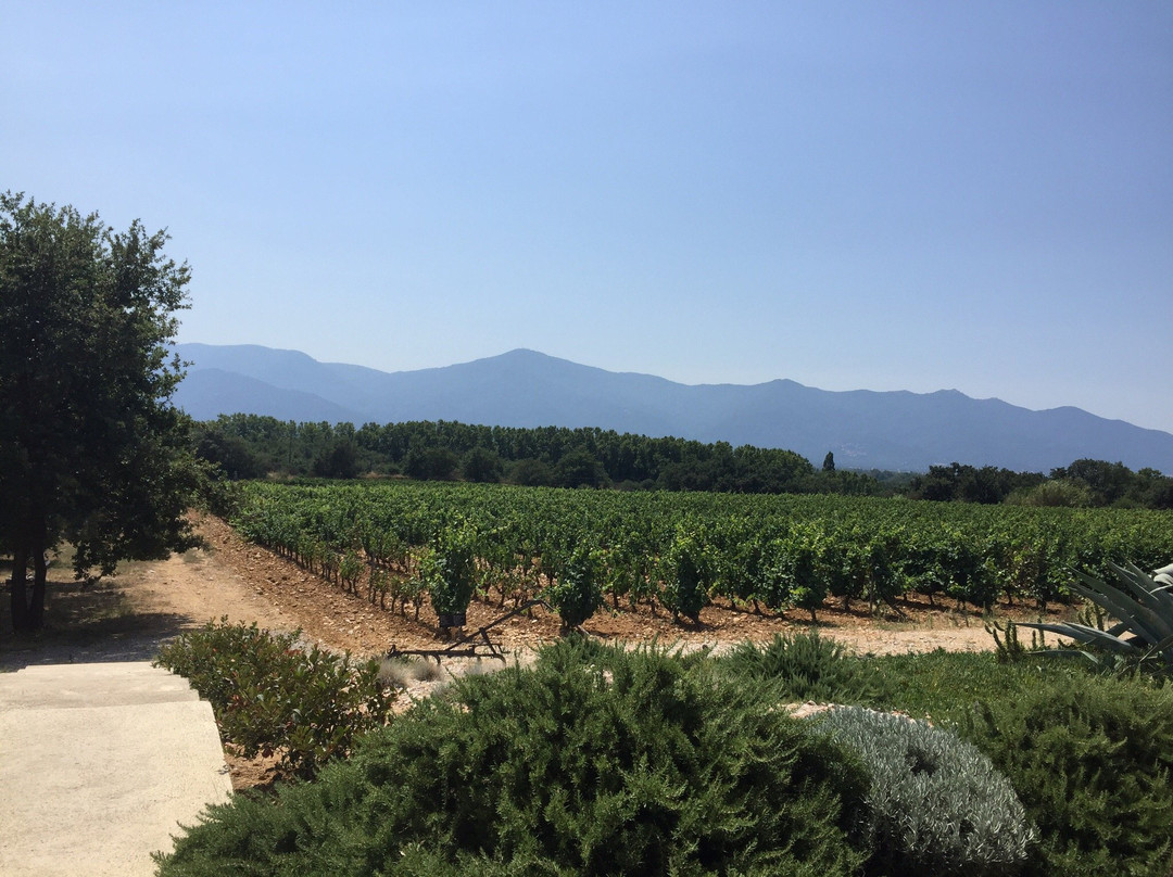Domaine Sol Payre景点图片