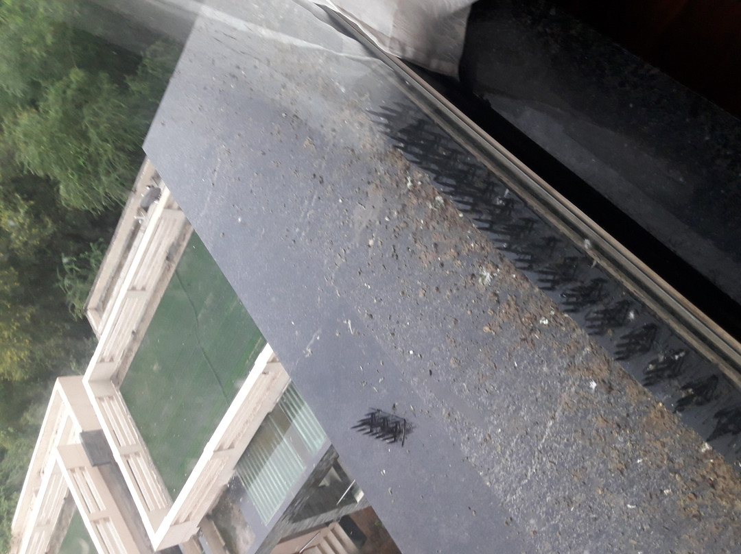 Boulevard 9 Luxury Resort & Spa主图