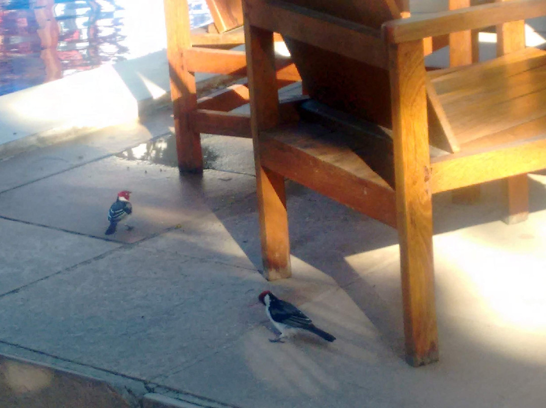 Aquarela Praia Hotel主图