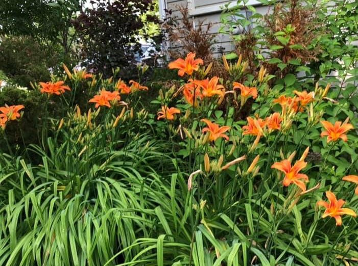 Driftwood Heights B & B主图