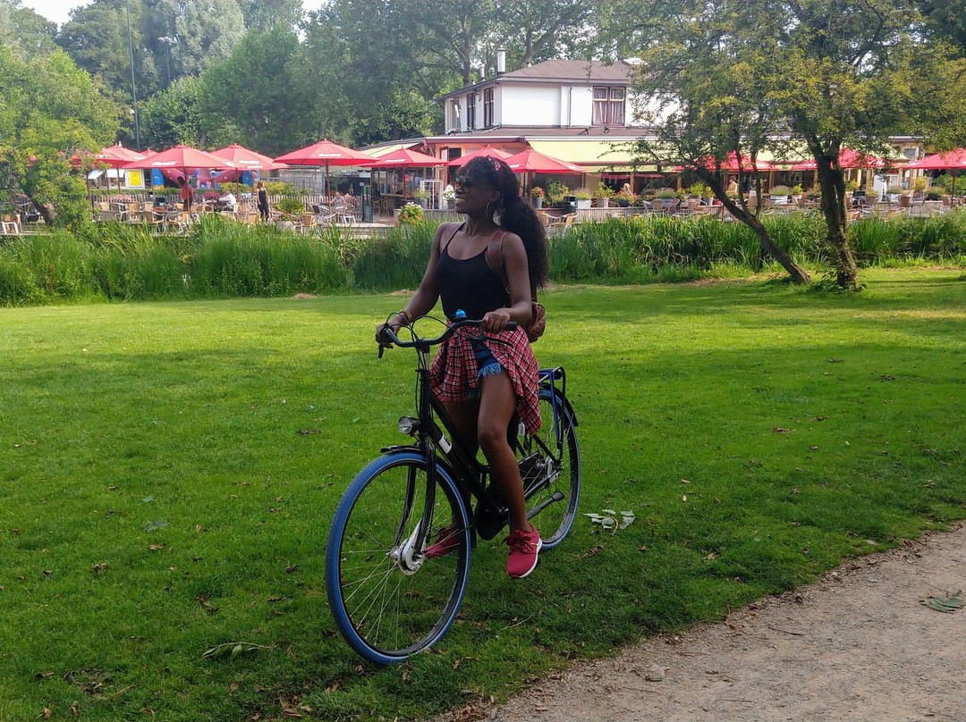 Rota Amsterdam - Guia Brasileiro Em Amsterdam-阿姆斯特丹必去景点