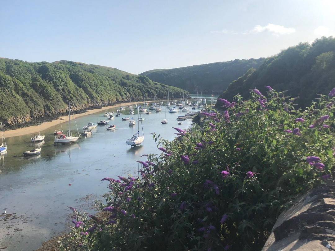 The Royal George主图