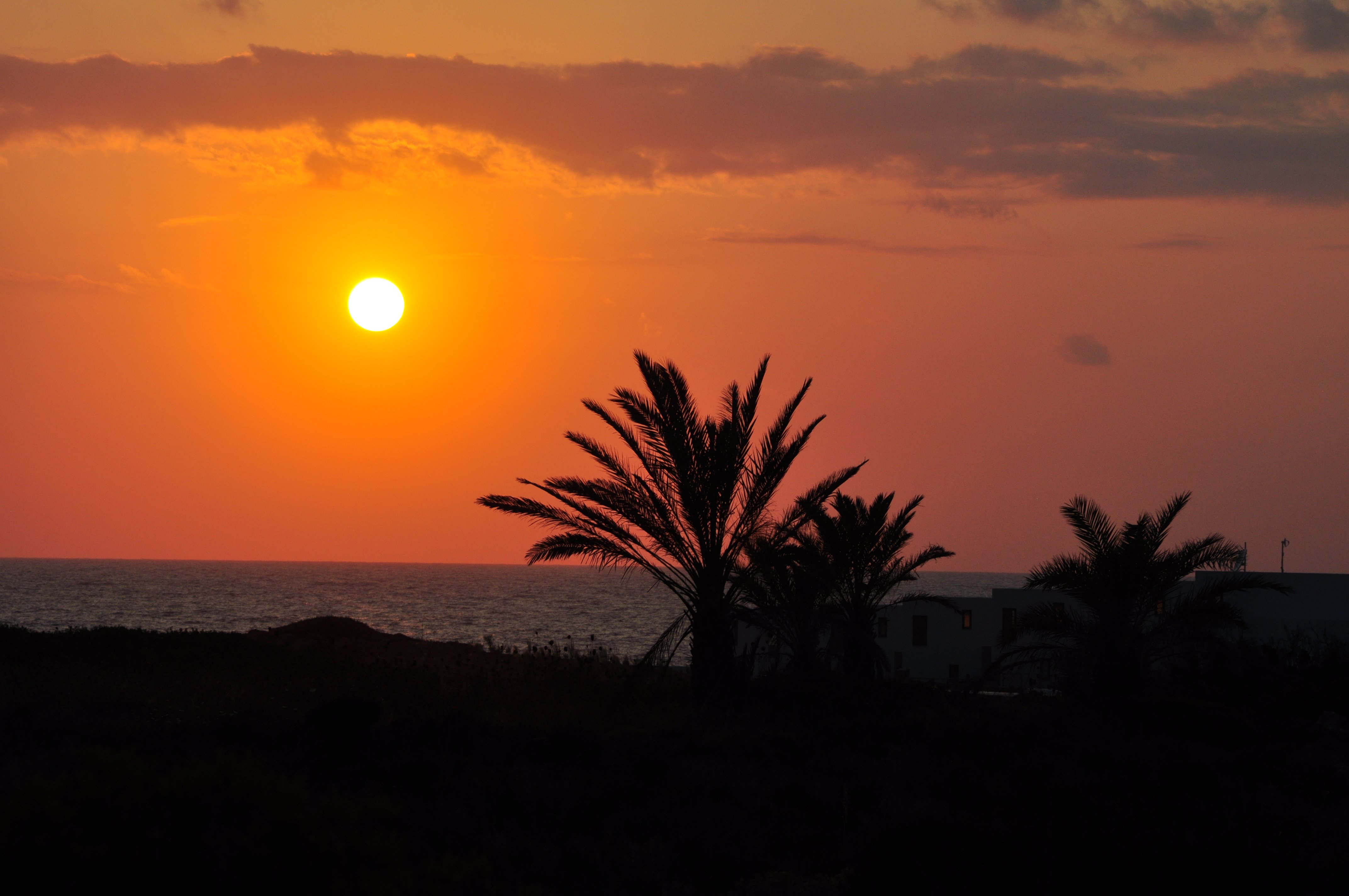 佐巴斯海滩村庄酒店-泳池