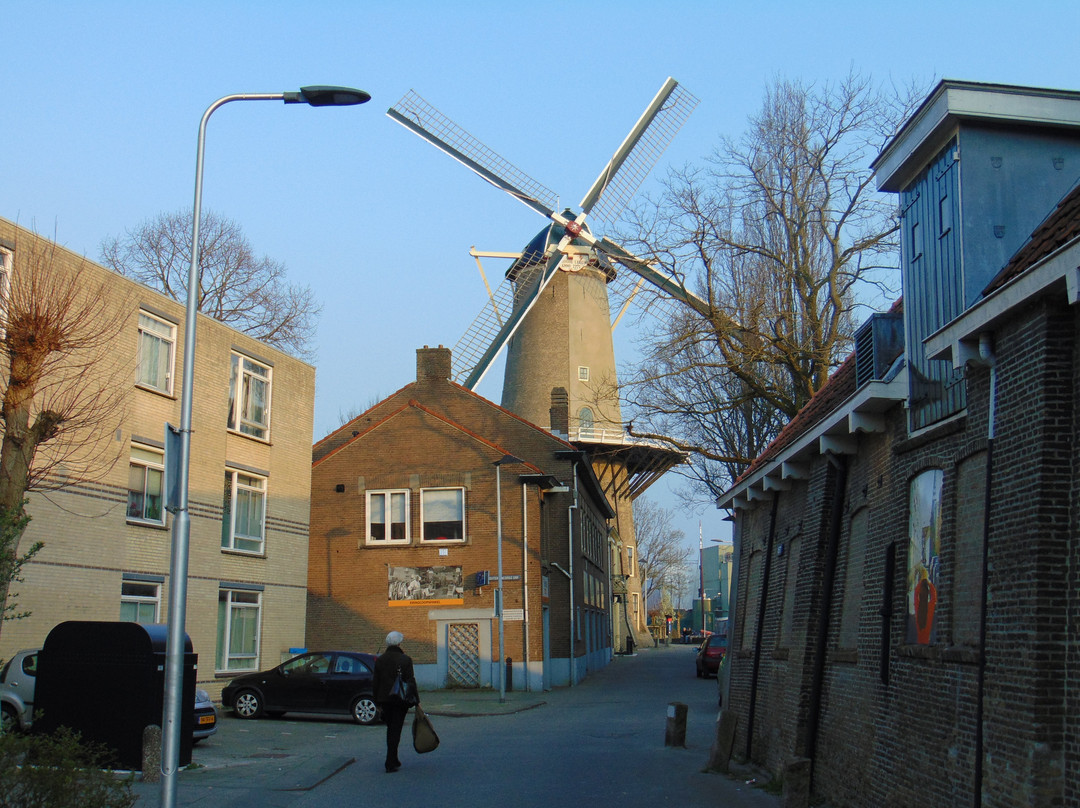 Red Lion Windmill (Molen De Roode Leeuw)-高德必去景点
