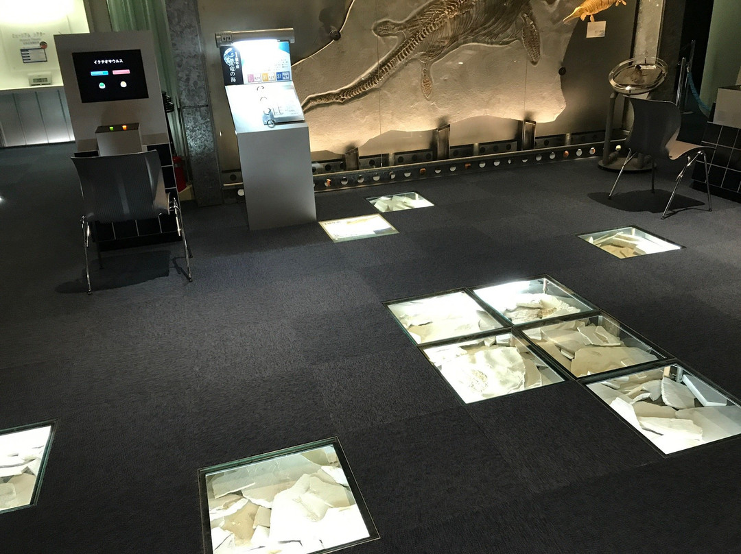 Gamagori Museum of Earth景点图片