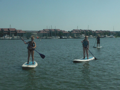 Charleston SUP Safaris-福利比奇必去景点