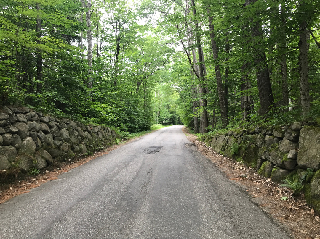 Carlson's Lodge主图