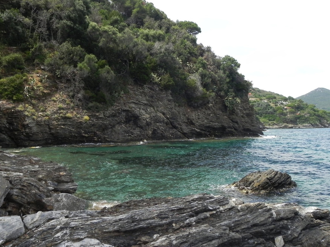 Spiaggia del Porticciolo景点图片