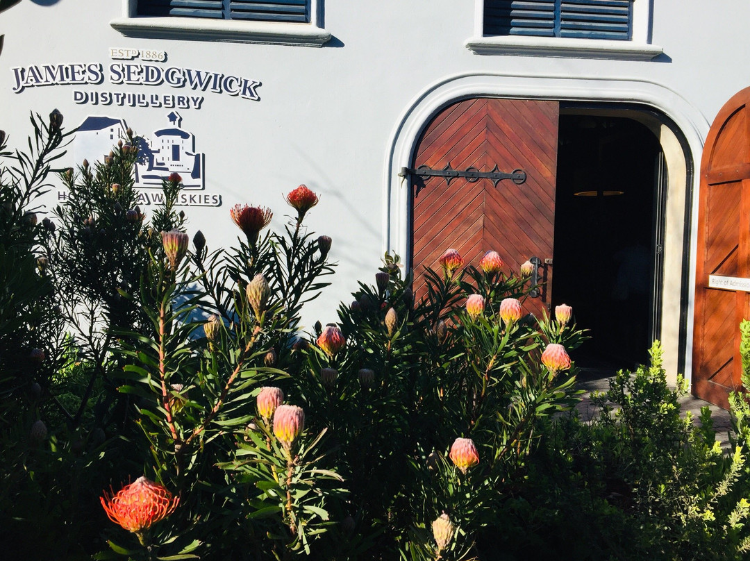 James Sedgwick Distillery-惠灵顿必去景点