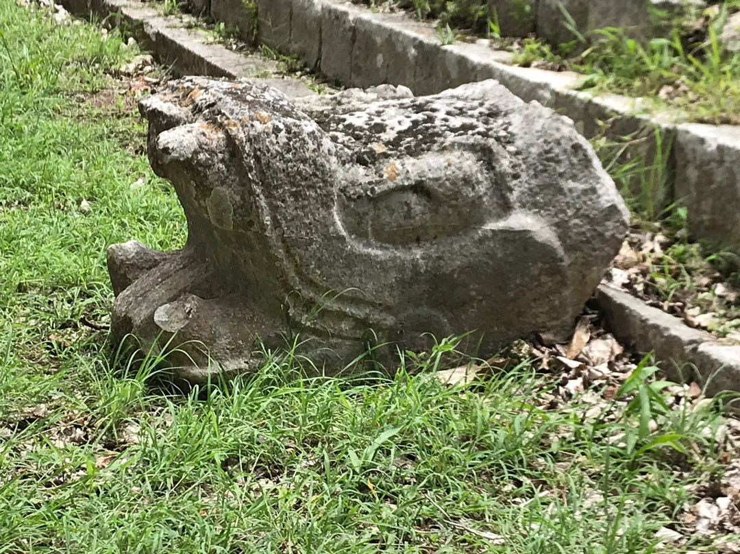 Isla Mujeres Cozumel Tour Operator-坎昆必去景点