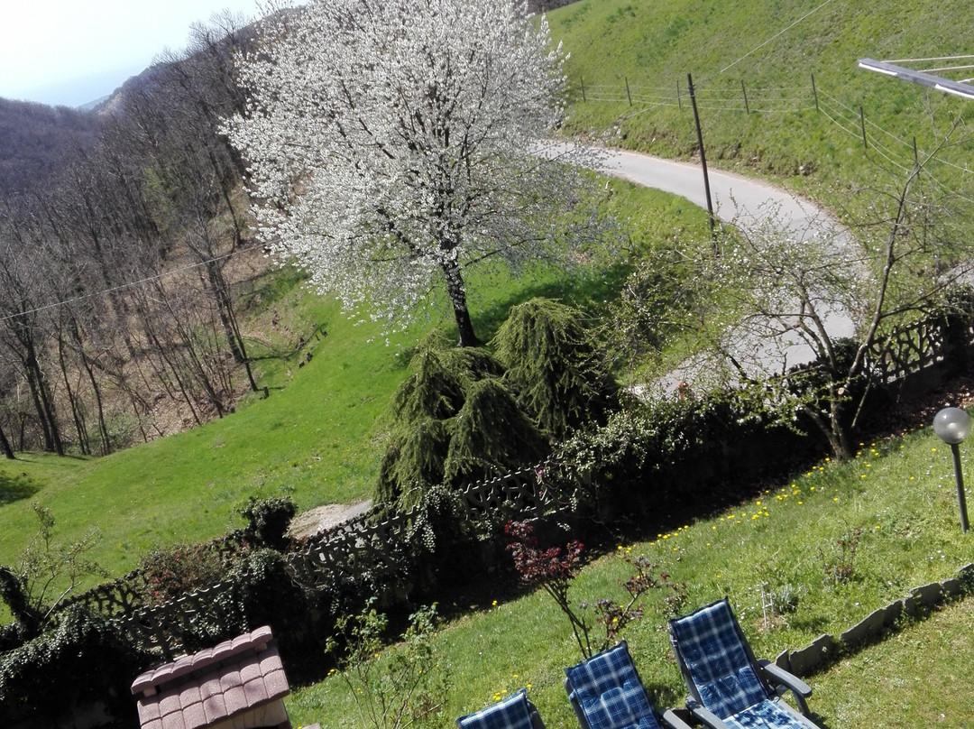 Le Giutte Bed & Breakfast主图