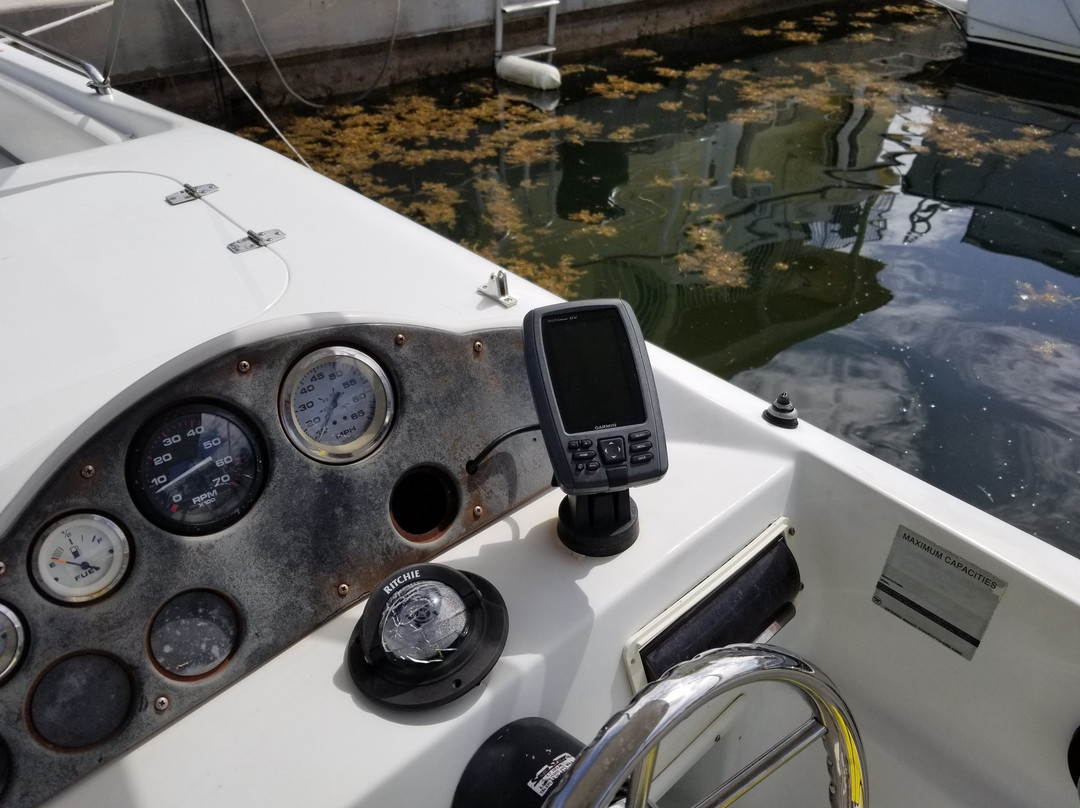 Bayside Boat Rentals-伊斯拉摩拉达必去景点