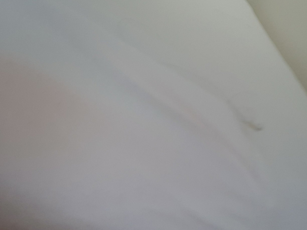 West Park Guesthouse主图