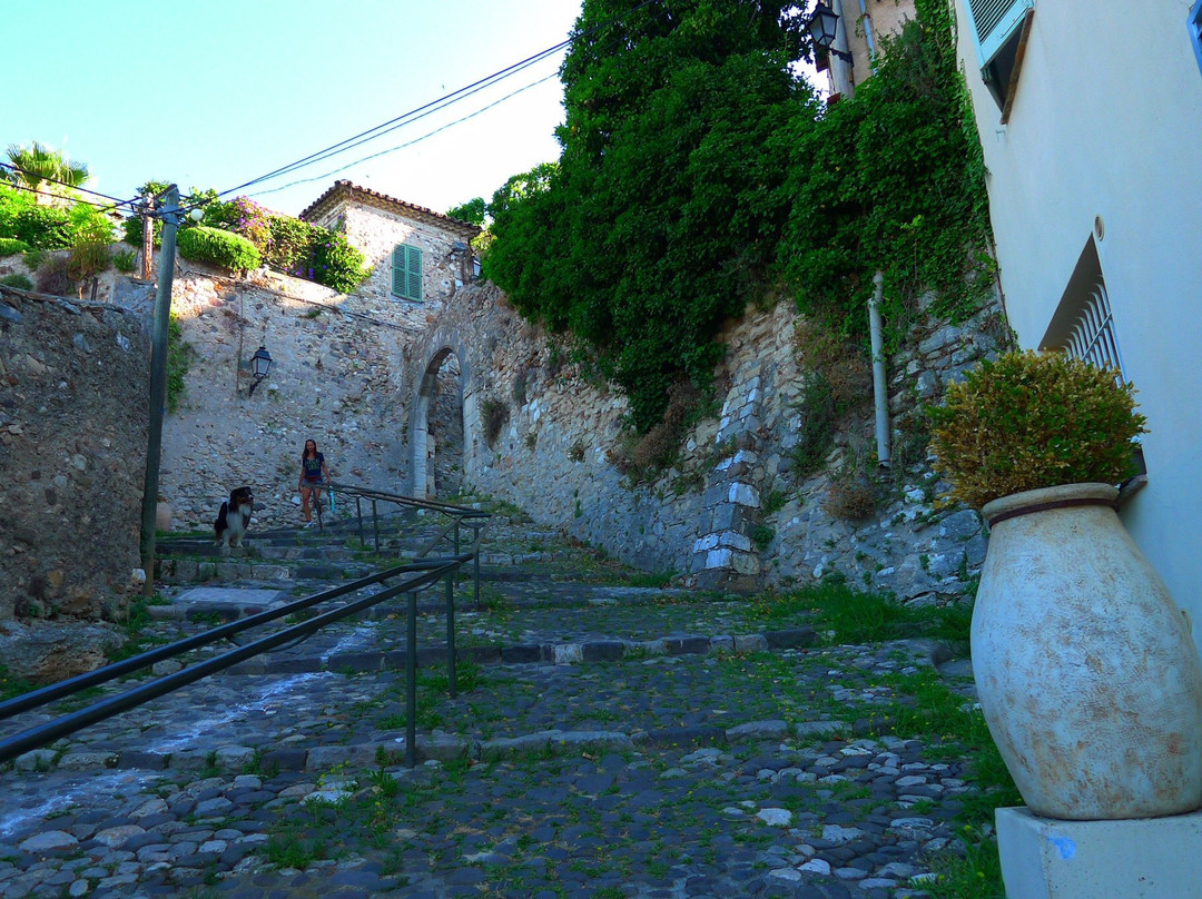 Le Jardin du Mas