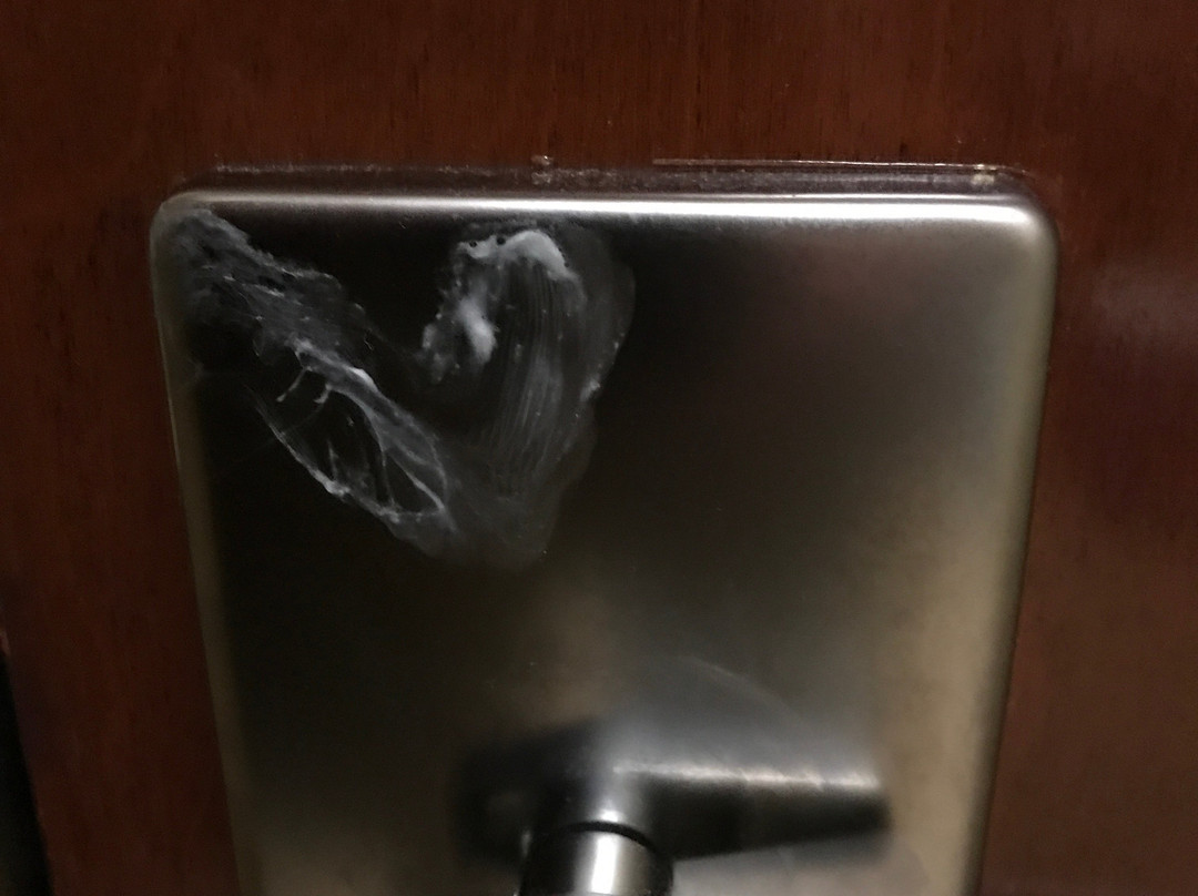 德赖里奇希尔顿恒庭酒店主图