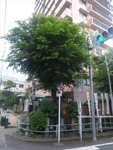 Enkiri Enoki-板桥区必去景点