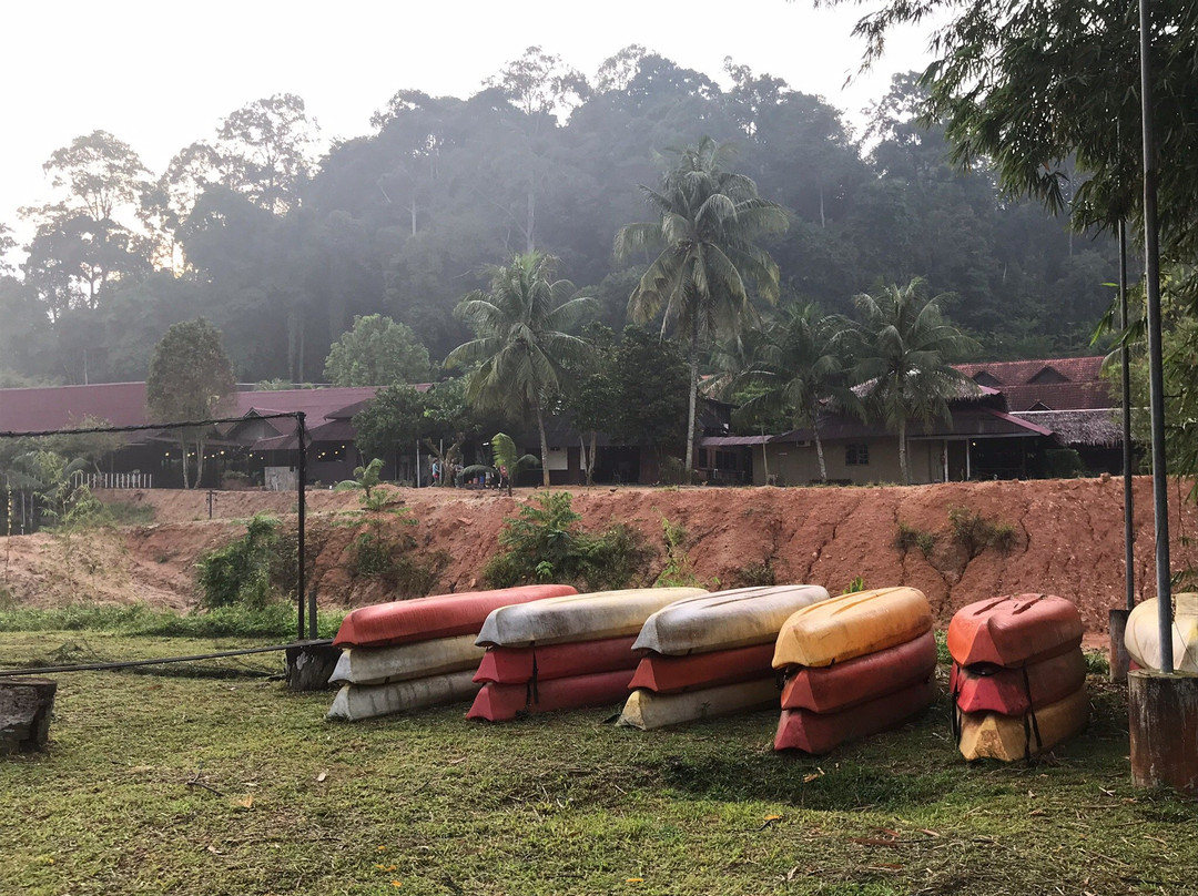 Kota Rainforest Resort主图