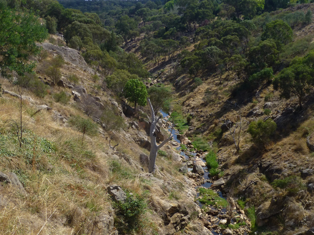 Newtown Falls-比奇沃思必去景点
