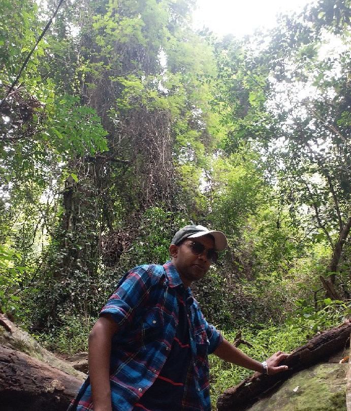 Kirigalpoththa Hike-Ohiya必去景点