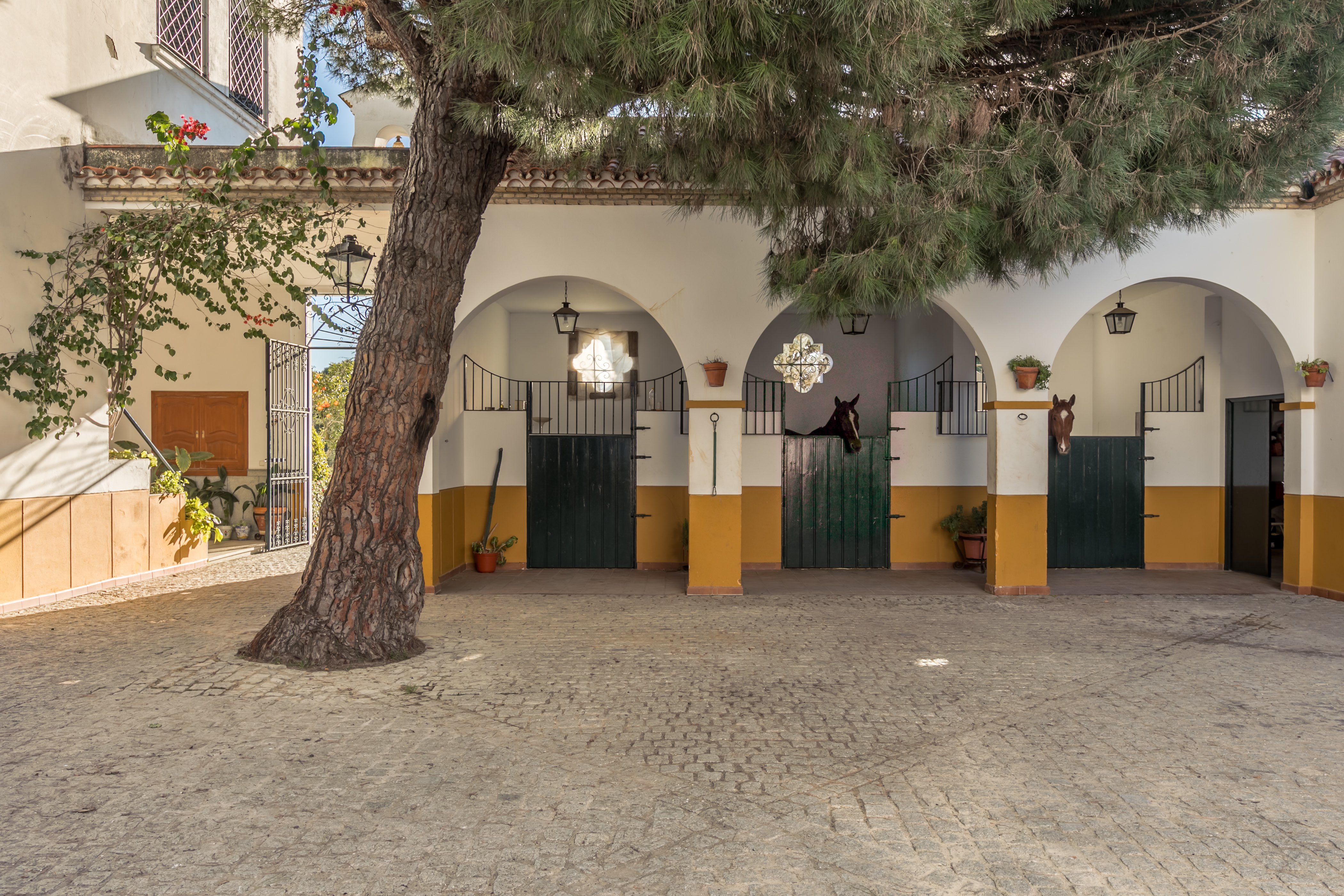 Hacienda Las Tres Niñas-官方