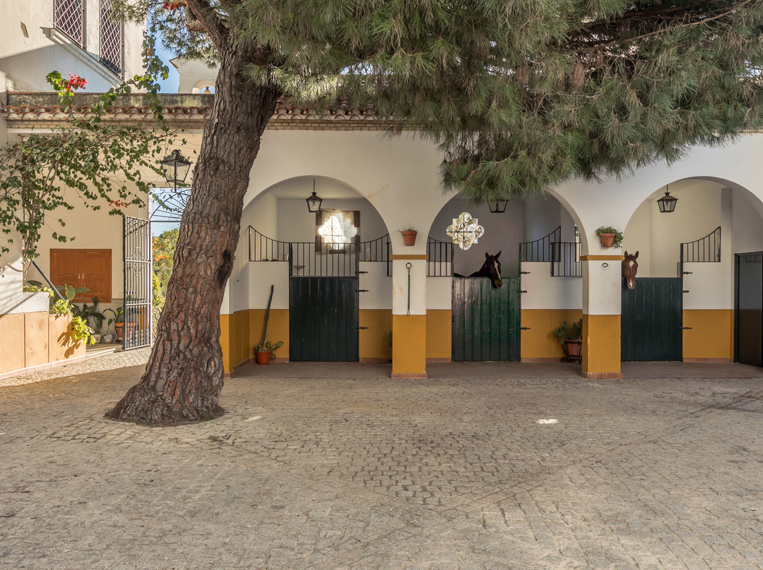 Almensilla酒店住宿-Hacienda Las Tres Niñas