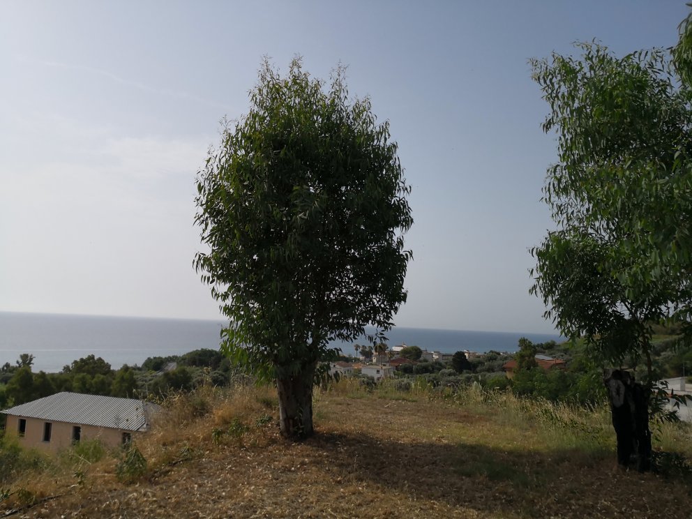 Agriturismo 'A Lanterna-官方