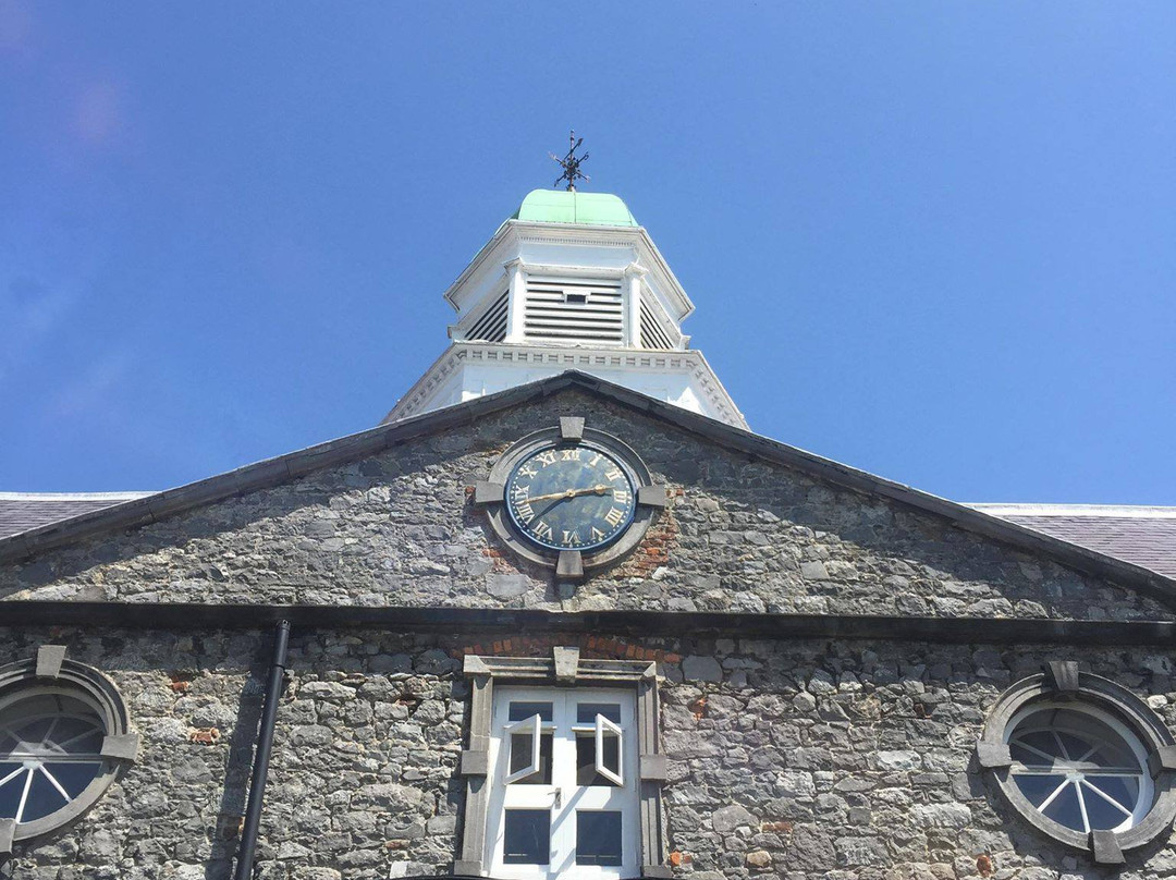 Castle Yard walking tours with Kilkenny Design Centre-基尔肯尼必去景点