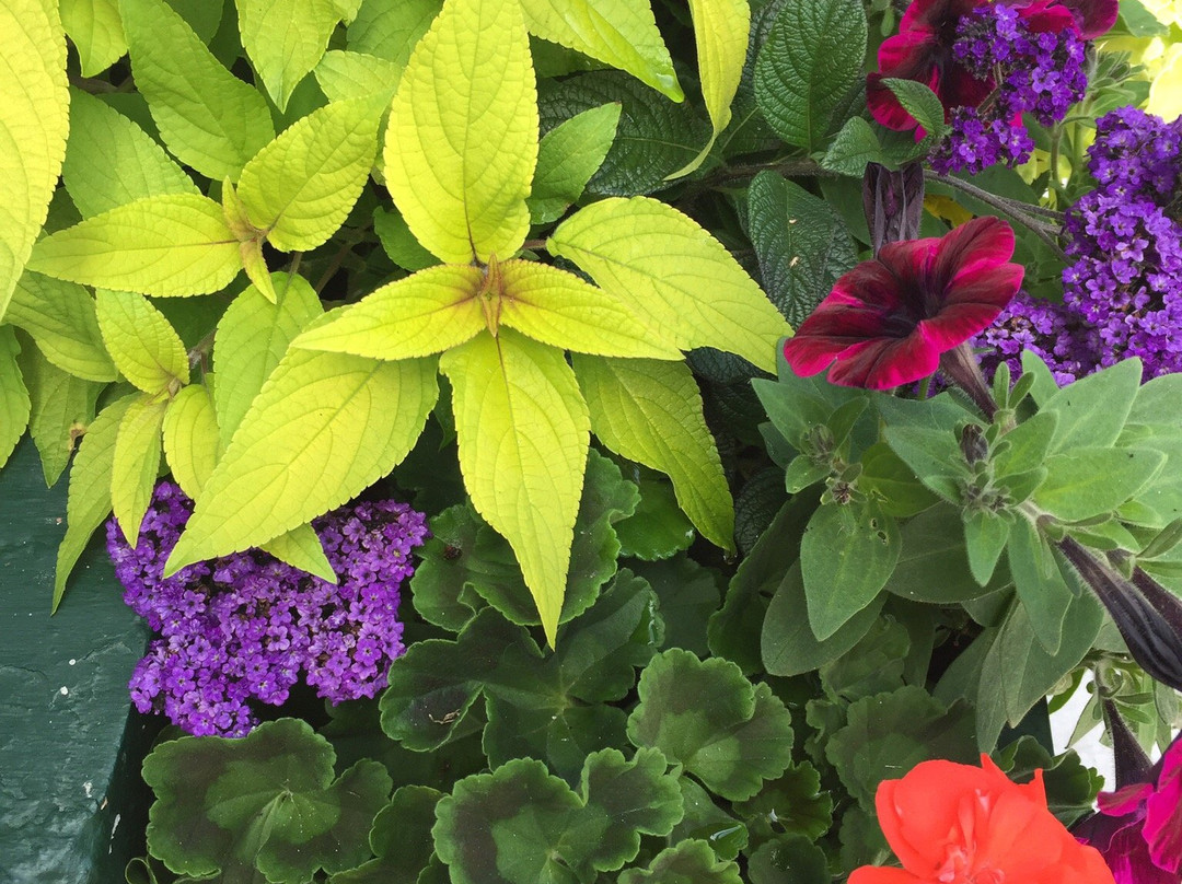 Historic Gaslight District-皮托斯基必去景点