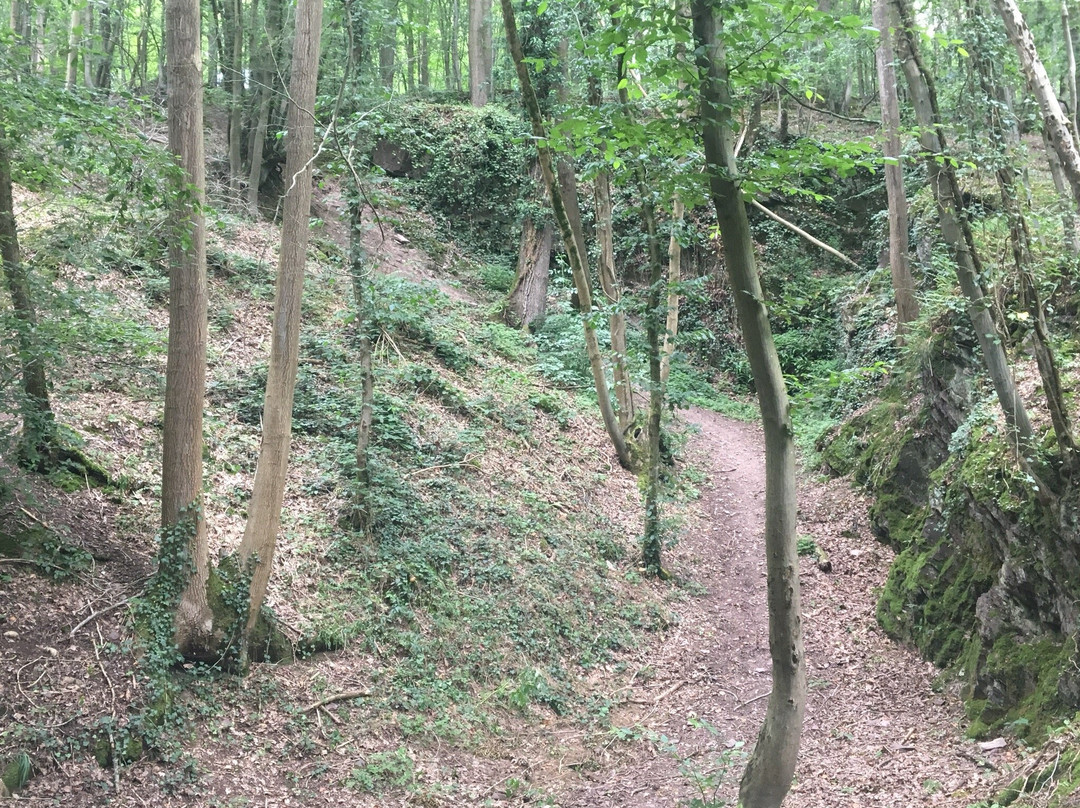 Le Caillou-qui-bique-Quievrain必去景点