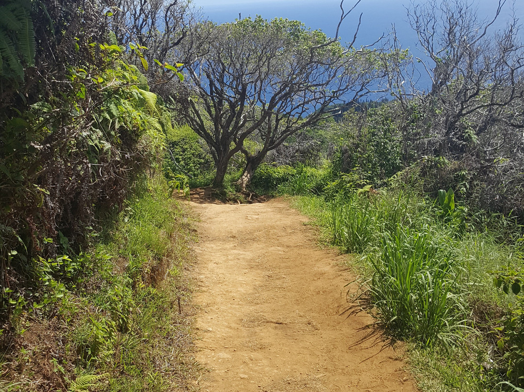 Waiheʻe Ridge Trail-Waihee必去景点